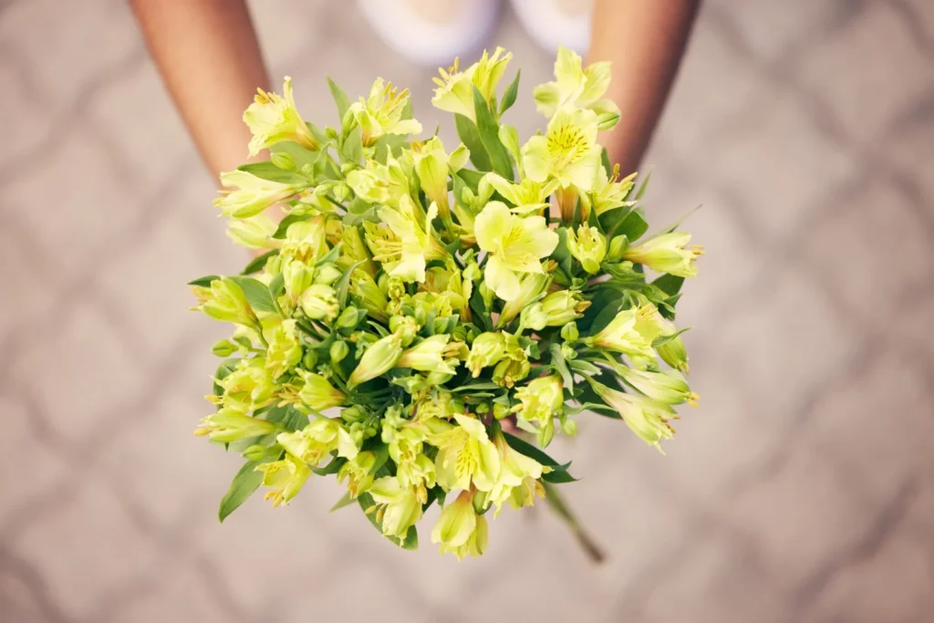 Bouquet of yellow flowers held above a stone path, flowers theme